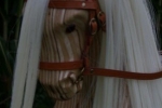 rocking horse blonde