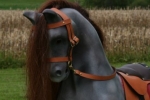 rocking horse painted
