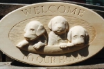 puppies